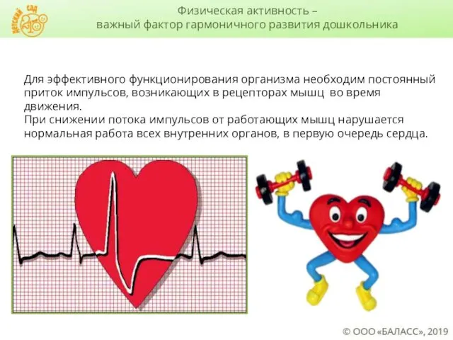 Для эффективного функционирования организма необходим постоянный приток импульсов, возникающих в рецепторах