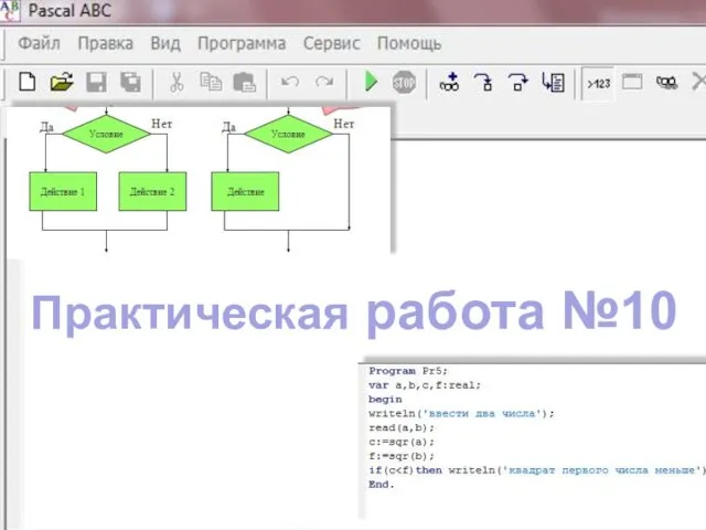 Практическая работа №10