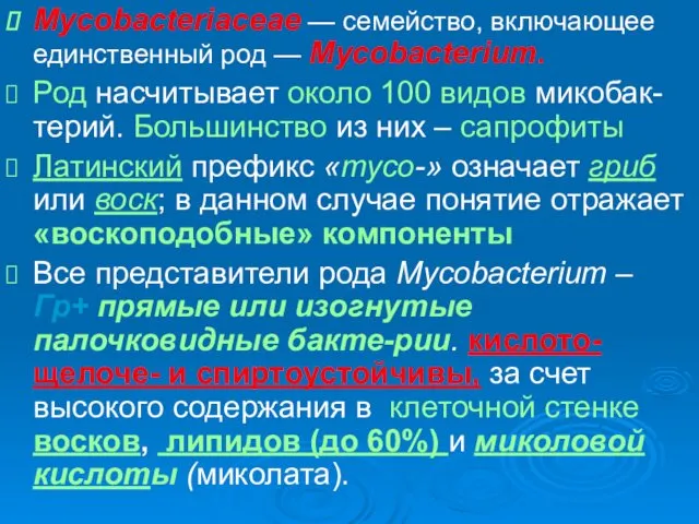 Mycobacteriaceae — семейство, включающее единственный род — Mycobacterium. Род насчитывает около