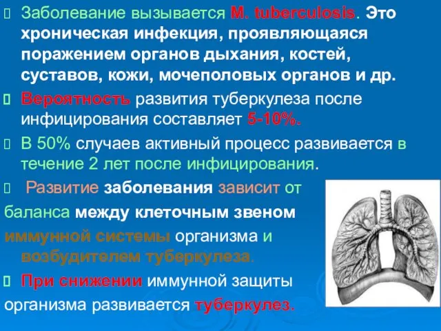 Заболевание вызывается M. tuberculosis. Это хроническая инфекция, проявляющаяся поражением органов дыхания,