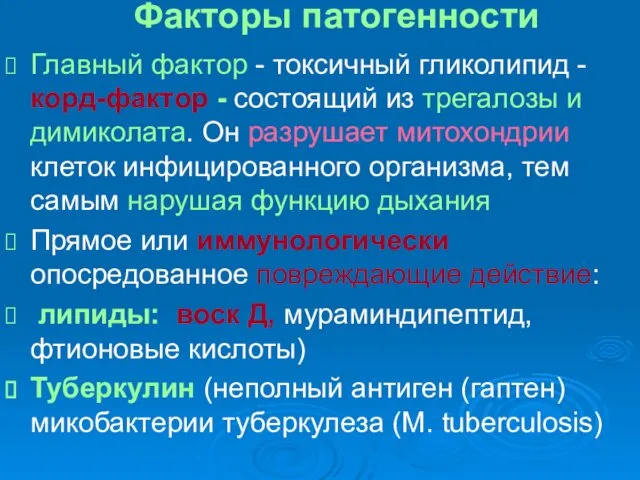 Факторы патогенности Главный фактор - токсичный гликолипид - корд-фактор - состоящий