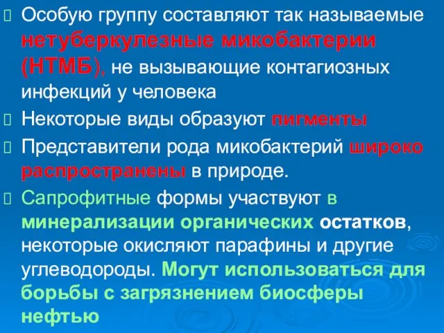 Особую группу составляют так называемые нетуберкулезные микобактерии (НТМБ), не вызывающие контагиозных