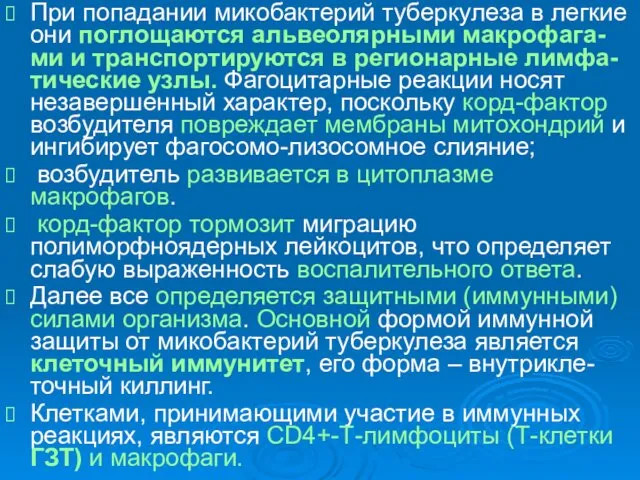 При попадании микобактерий туберкулеза в легкие они поглощаются альвеолярными макрофага-ми и