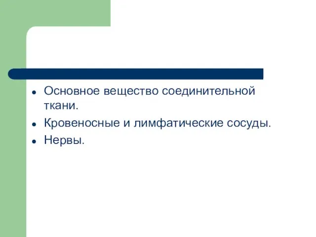 Основное вещество соединительной ткани. Кровеносные и лимфатические сосуды. Нервы.