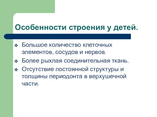 Особенности строения у детей. Большое количество клеточных элементов, сосудов и нервов.