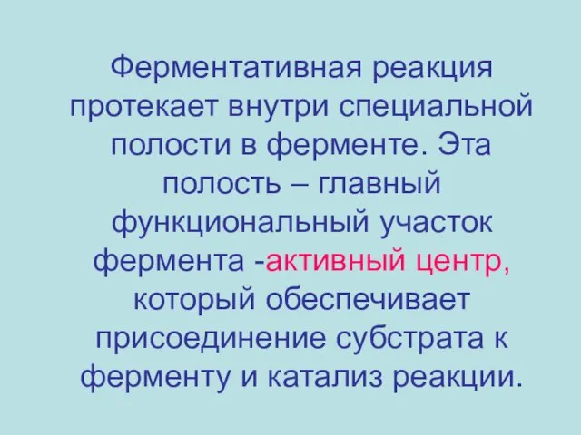 Ферментативная реакция протекает внутри специальной полости в ферменте. Эта полость –