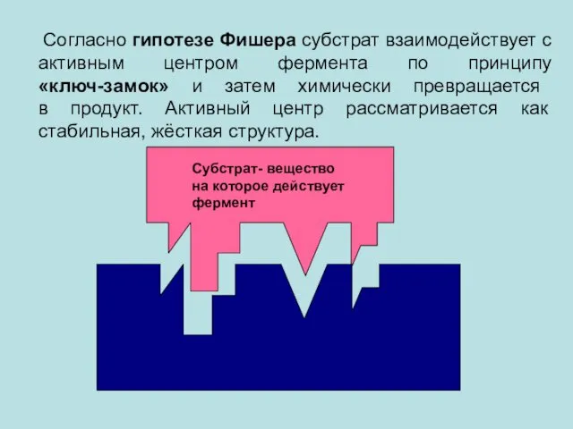 Согласно гипотезе Фишера субстрат взаимодействует с активным центром фермента по принципу