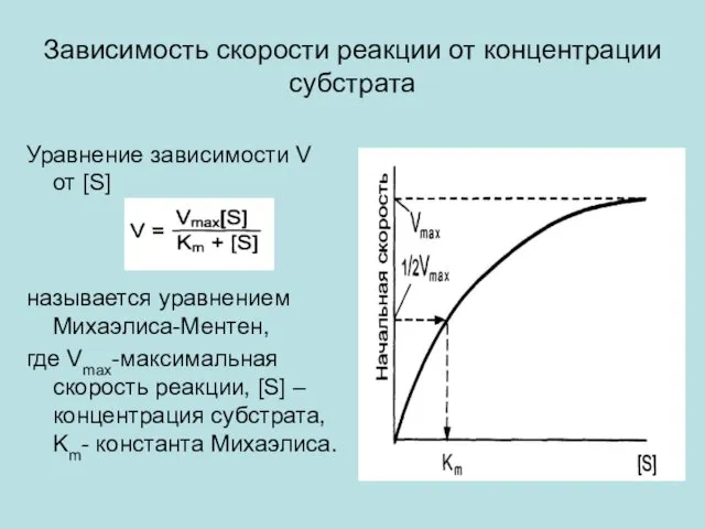 Зависимость скорости реакции от концентрации субстрата Уравнение зависимости V от [S]