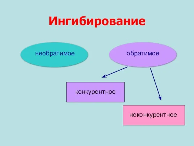 Ингибирование необратимое обратимое конкурентное неконкурентное