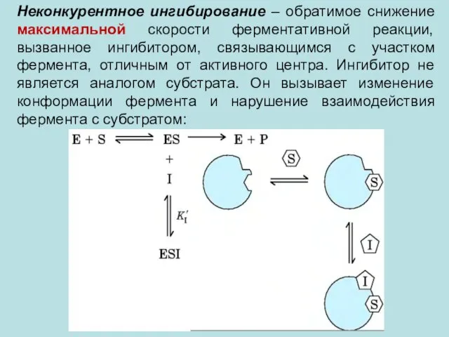 Неконкурентное ингибирование – обратимое снижение максимальной скорости ферментативной реакции, вызванное ингибитором,