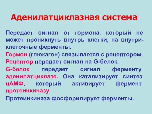 Аденилатциклазная система Передает сигнал от гормона, который не может проникнуть внутрь