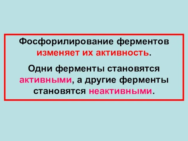 Фосфорилирование ферментов изменяет их активность. Одни ферменты становятся активными, а другие ферменты становятся неактивными.