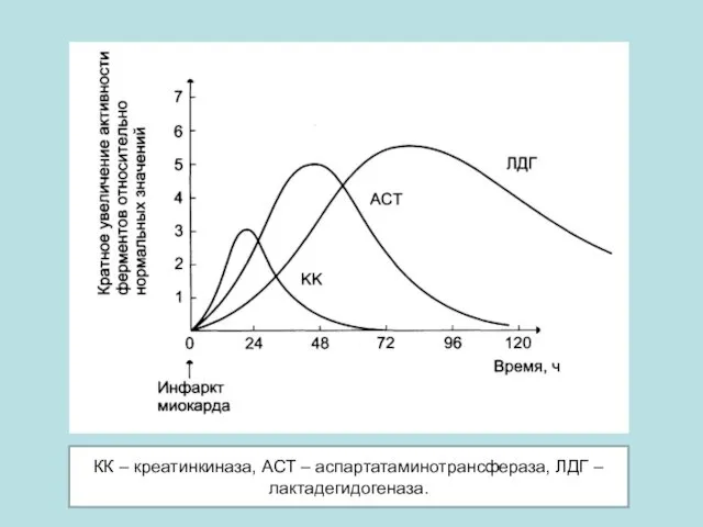 КК – креатинкиназа, АСТ – аспартатаминотрансфераза, ЛДГ – лактадегидогеназа.