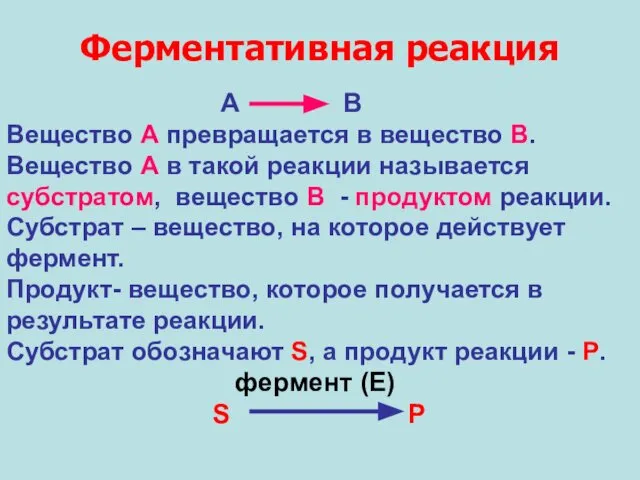 Ферментативная реакция А В Вещество А превращается в вещество В. Вещество