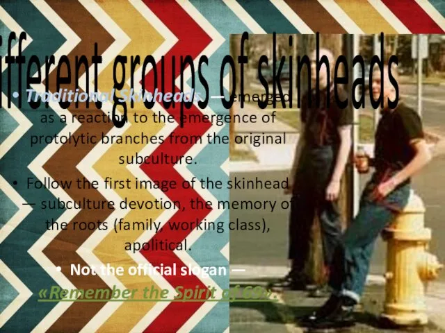 Different groups of skinheads Traditional Skinheads — emerged as a reaction