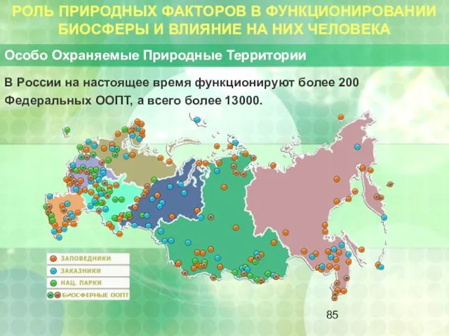 РОЛЬ ПРИРОДНЫХ ФАКТОРОВ В ФУНКЦИОНИРОВАНИИ БИОСФЕРЫ И ВЛИЯНИЕ НА НИХ ЧЕЛОВЕКА