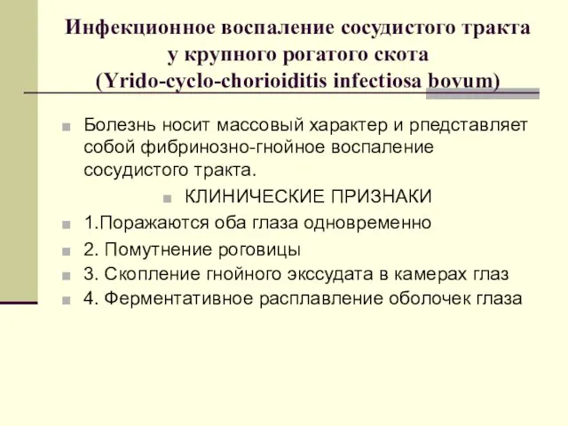 Инфекционное воспаление сосудистого тракта у крупного рогатого скота (Yrido-cyclo-chorioiditis infectiosa bovum)