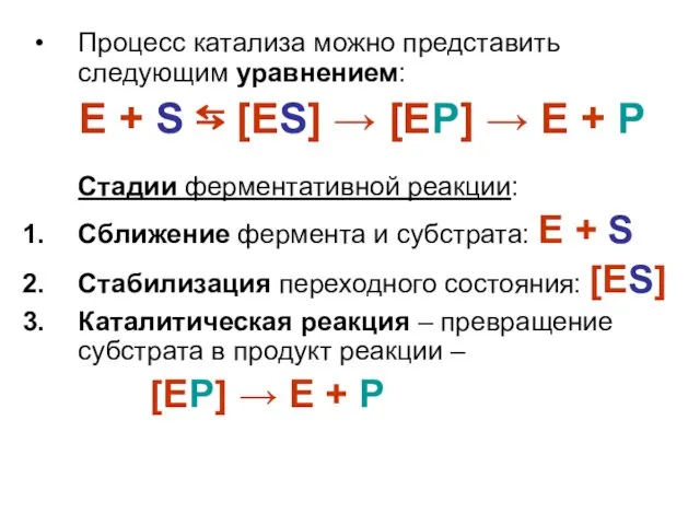 Процесс катализа можно представить следующим уравнением: E + S ⇆ [ES]