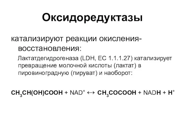 Оксидоредуктазы катализируют реакции окисления-восстановления: Лактатдегидрогеназа (LDH, EC 1.1.1.27) катализирует превращение молочной