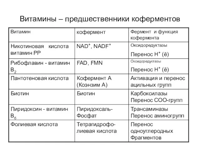 Витамины – предшественники коферментов