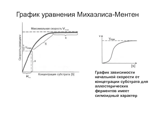 График уравнения Михаэлиса-Ментен График зависимости начальной скорости от концетрации субстрата для аллостерических ферментов имеет сигмоидный характер