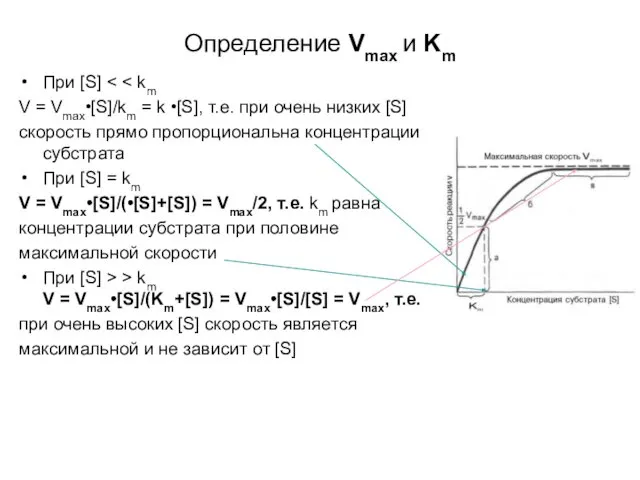 Определение Vmax и Km При [S] V = Vmax•[S]/km = k