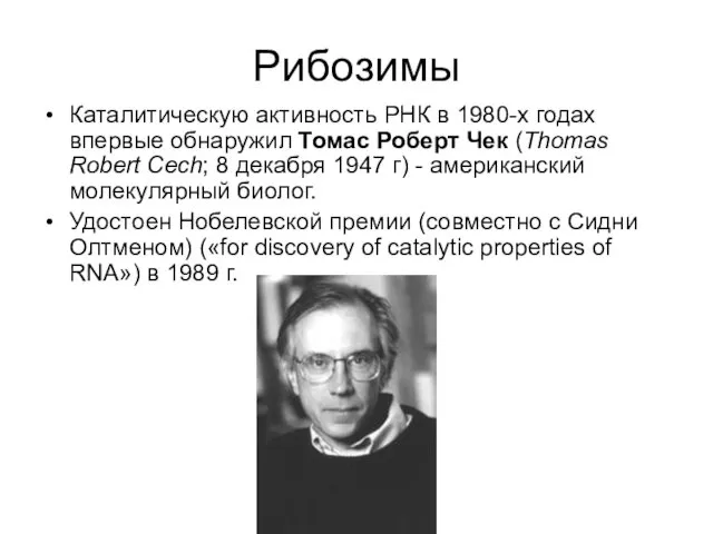 Рибозимы Каталитическую активность РНК в 1980-х годах впервые обнаружил Томас Роберт