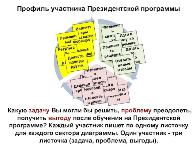 Профиль участника Президентской программы Какую задачу Вы могли бы решить, проблему