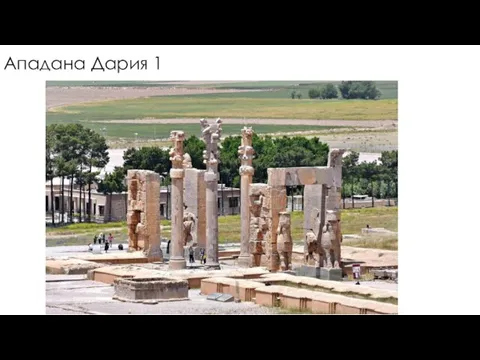 Ападана Дария 1