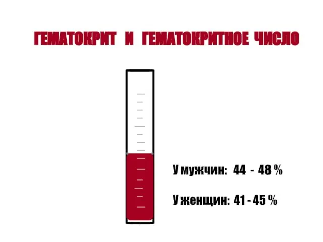 ГЕМАТОКРИТ И ГЕМАТОКРИТНОЕ ЧИСЛО У мужчин: 44 - 48 % У женщин: 41 - 45 %