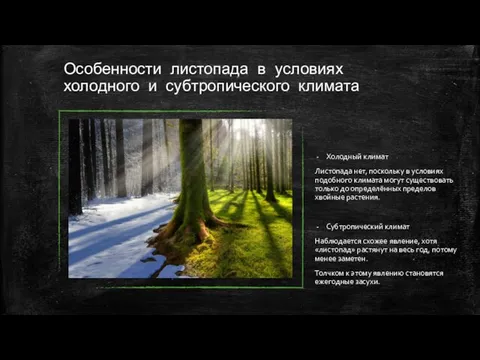 Особенности листопада в условиях холодного и субтропического климата Холодный климат Листопада