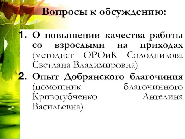 Вопросы к обсуждению: О повышении качества работы со взрослыми на приходах