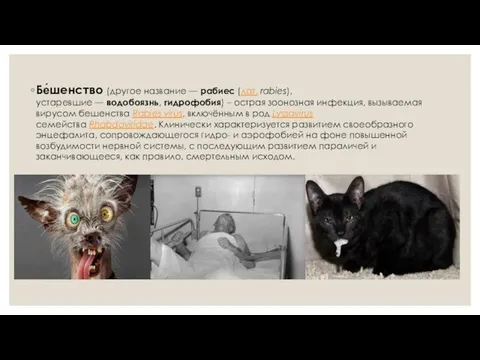 Бе́шенство (другое название — рабиес (лат. rabies), устаревшие — водобоязнь, гидрофобия)