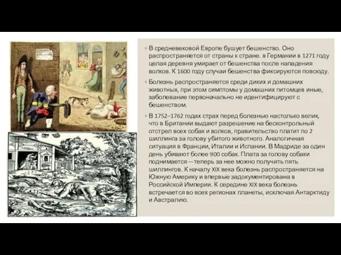 В средневековой Европе бушует бешенство. Оно распространяется от страны к стране.