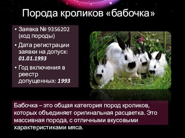 Порода кроликов «бабочка» Заявка № 9356202 (код породы) Дата регистрации заявки