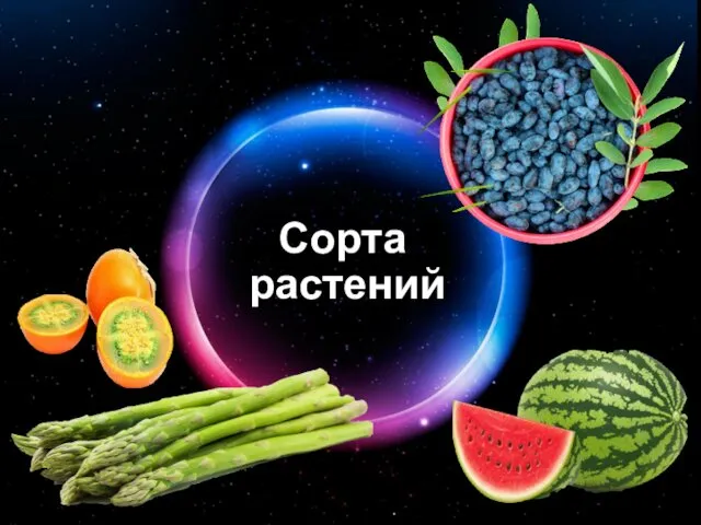 Сорта растений