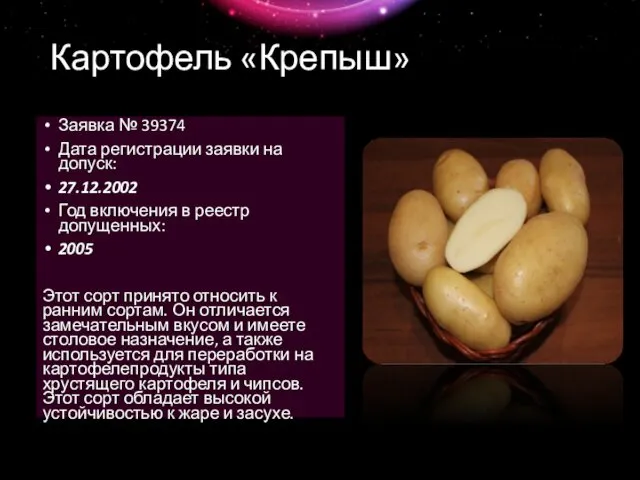 Картофель «Крепыш» Заявка № 39374 Дата регистрации заявки на допуск: 27.12.2002