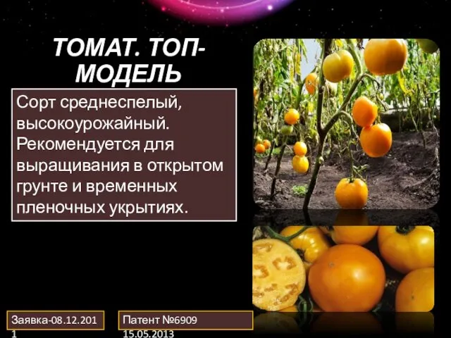 ТОМАТ. ТОП-МОДЕЛЬ Заявка-08.12.2011 Патент №6909 15.05.2013 Сорт среднеспелый, высокоурожайный. Рекомендуется для