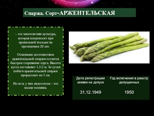 Спаржа. Сорт-АРЖЕНТЕЛЬСКАЯ СПАРЖА – это многолетняя культура, которая плодоносит при правильной