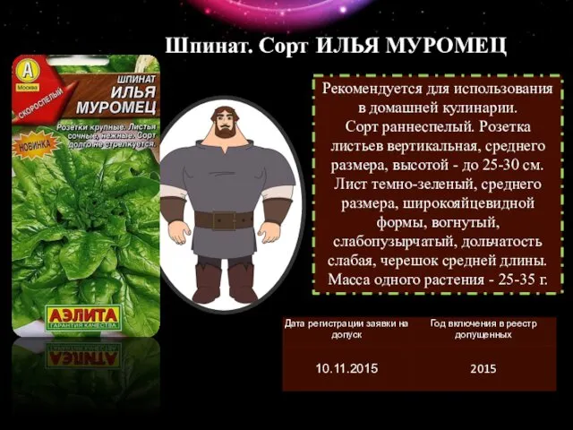 Шпинат. Сорт ИЛЬЯ МУРОМЕЦ Рекомендуется для использования в домашней кулинарии. Сорт