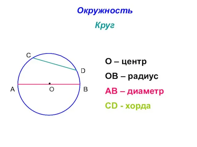 Окружность Круг О – центр ОВ – радиус АВ – диаметр СD - хорда