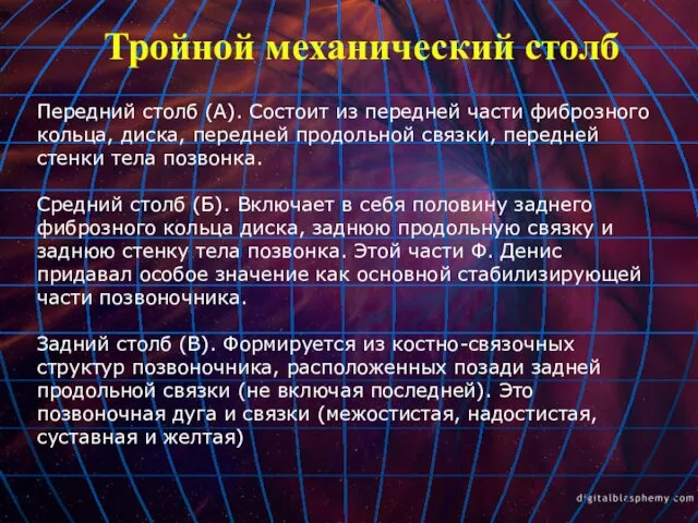 Тройной механический столб Передний столб (А). Состоит из передней части фиброзного