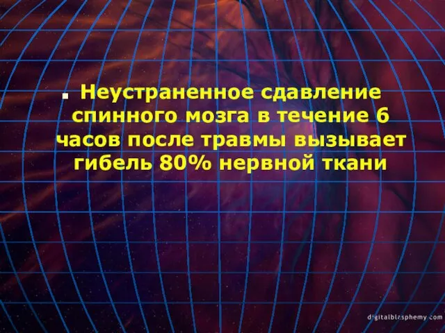 Неустраненное сдавление спинного мозга в течение 6 часов после травмы вызывает гибель 80% нервной ткани