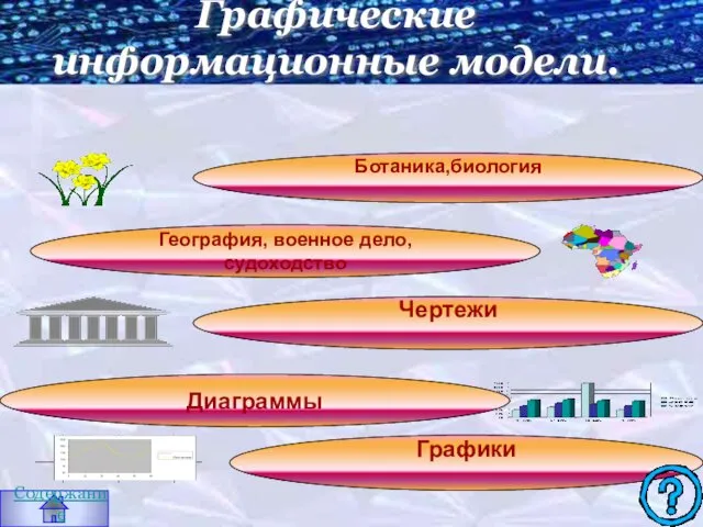 Графические информационные модели. Ботаника,биология География, военное дело, судоходство Чертежи Диаграммы Графики Содержание