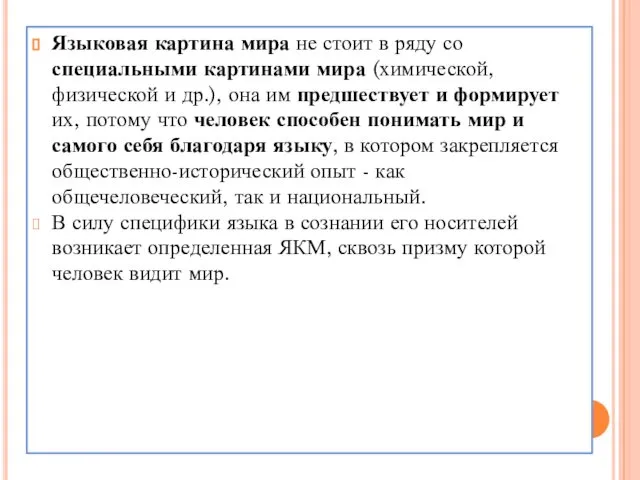 Языковая картина мира не стоит в ряду со специальными картинами мира