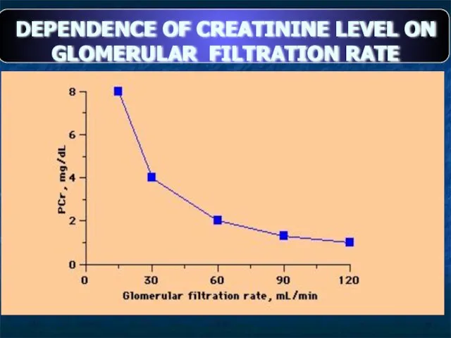 DEPENDENCE OF CREATININE LEVEL ON GLOMERULAR FILTRATION RATE