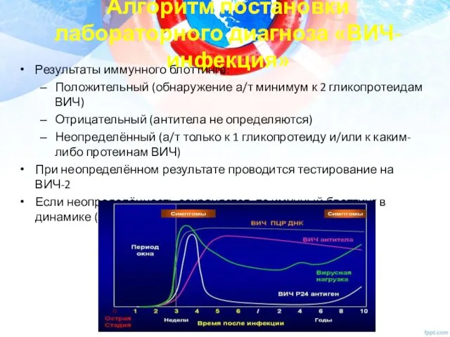 Алгоритм постановки лабораторного диагноза «ВИЧ-инфекция» Результаты иммунного блоттинга: Положительный (обнаружение а/т