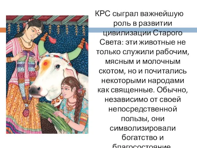 КРС сыграл важнейшую роль в развитии цивилизации Старого Света: эти животные