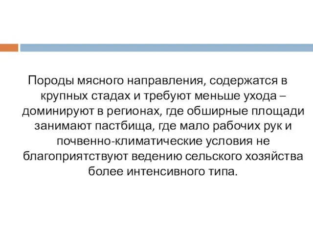 Породы мясного направления, содержатся в крупных стадах и требуют меньше ухода