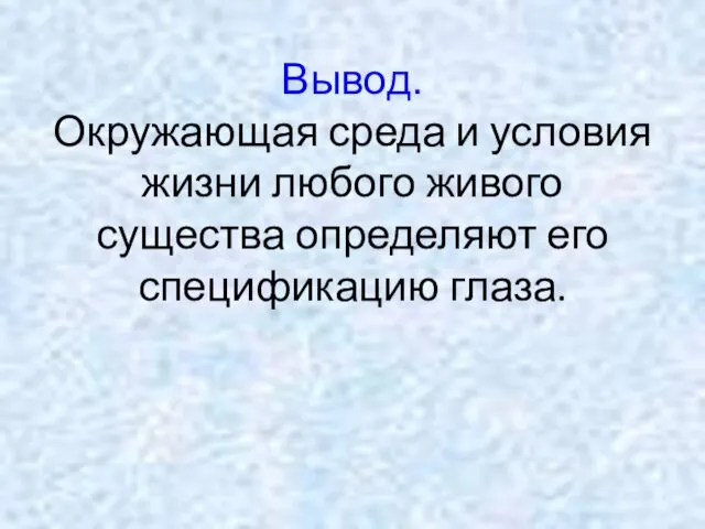 Вывод. Окружающая среда и условия жизни любого живого существа определяют его спецификацию глаза.